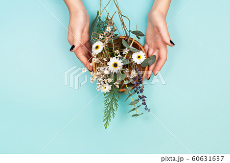 Hands with herbs Hands with herbs 60631637