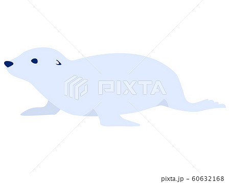 海の動物 アシカのイラスト素材