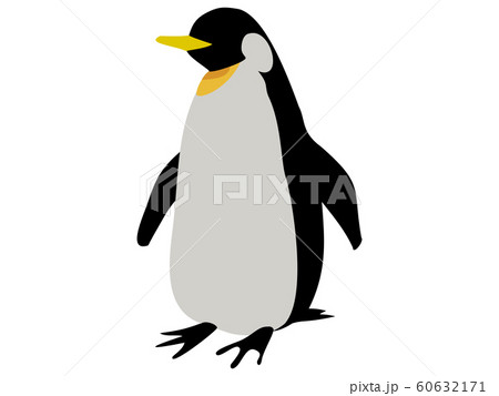 皇帝ペンギン 60632171