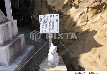 鵜戸神宮 うさぎの写真素材