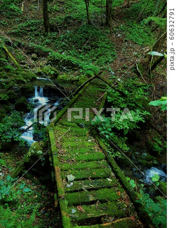 鷹ノ巣山の山道 60632791
