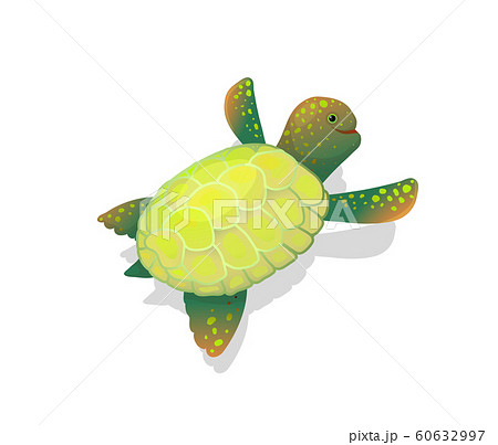 Sea Turtle Clip Art Childlike Cartoon のイラスト素材