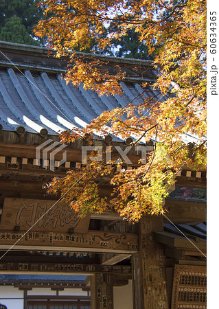 大雄山最乗寺　秋　神奈川県南足柄市　紅葉 60634365