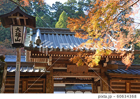 大雄山最乗寺　秋　神奈川県南足柄市　紅葉 60634368