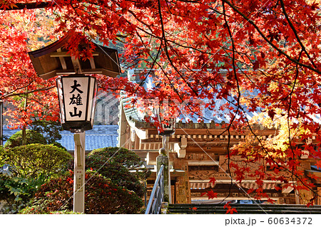 大雄山最乗寺　秋　神奈川県南足柄市　紅葉 60634372