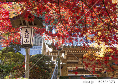 大雄山最乗寺　秋　神奈川県南足柄市　紅葉 60634373
