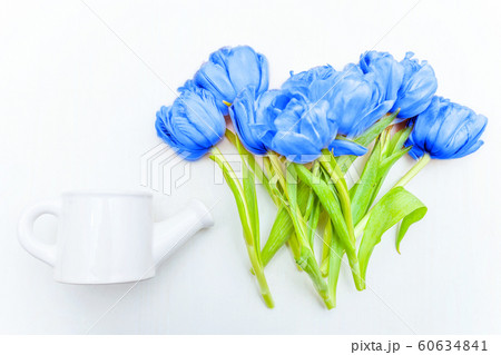 Bouquet of fresh tulips flowers colored in trendy 60634841