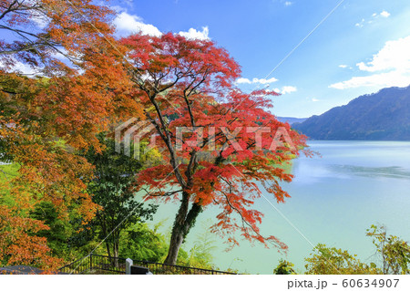 秋の赤谷湖 秋の赤谷湖 60634907