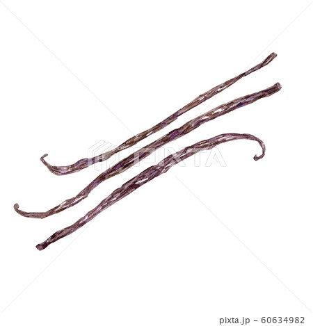 Watercolor vanilla sticks Watercolor vanilla sticks 60634982