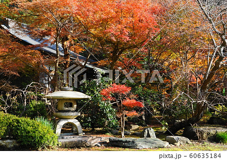 12月　鎌倉1024覚園寺の紅葉 60635184