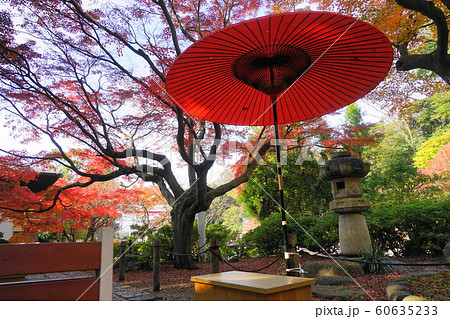 12月　鎌倉1001鎌倉宮(大塔宮)の紅葉 60635233