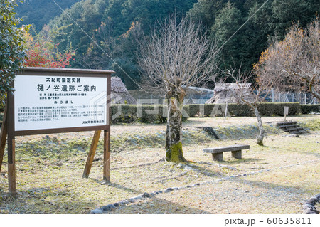 三重県樋ノ谷遺跡 三重県樋ノ谷遺跡 60635811