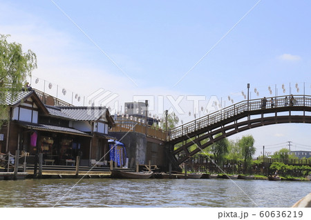 水郷潮来あやめ園 茨城県潮来市 水郷潮来あやめ園 茨城県潮来市 60636219