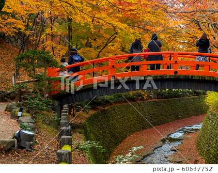 紅葉の北野天満宮 60637752