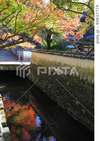 徳島丈六寺の紅葉 60637774