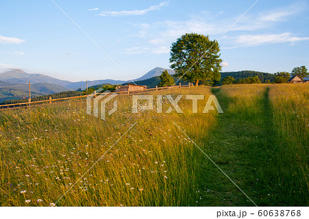 Sunset in mountains Sunset in mountains 60638768