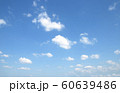 sky 60639486