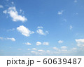 sky 60639487