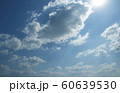 sky 60639530