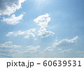 sky 60639531