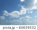 sky 60639532