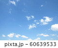 sky 60639533
