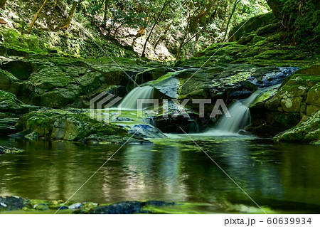 赤目四十八滝 初夏の渓流の情景@三重県 赤目四十八滝 初夏の渓流の情景@三重県 60639934