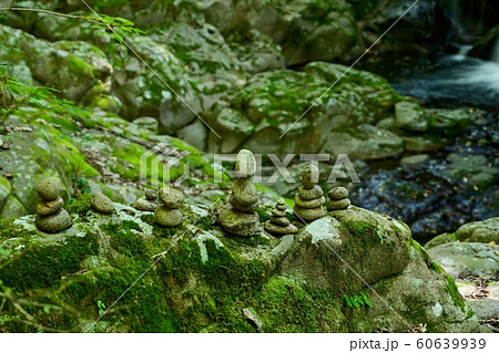 赤目四十八滝 初夏の渓流の情景@三重県 赤目四十八滝 初夏の渓流の情景@三重県 60639939