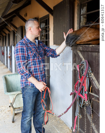 Mature man holding a surcingle and standing near horse at farm 60641317