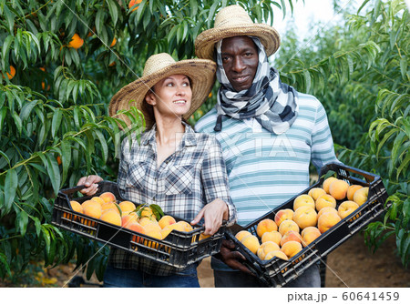 Couple holding boxes with peaches 60641459