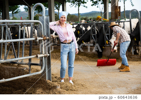 Confident woman farmer standing near cow and man working 60643636