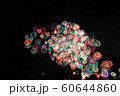 熊野花火大会 60644860