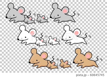 mouse mouse 60645745