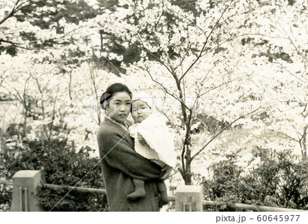 昭和676 昭和676 60645977