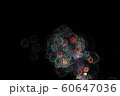 熊野花火大会 60647036