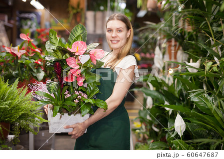 Female seller wearing an apron and happily standing among flowers in floral shop 60647687