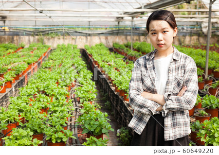 Chinese woman caring for mint plant in a greenhouse Chinese woman caring for mint plant in a greenhouse 60649220