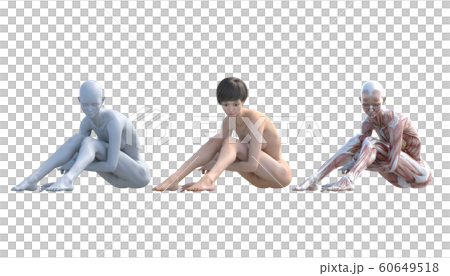 肌肉標本女性成分相同姿勢perming3DCG插圖素材 60649518