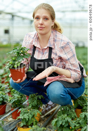 Female supervising growth of tomato seedlings Female supervising growth of tomato seedlings 60649678