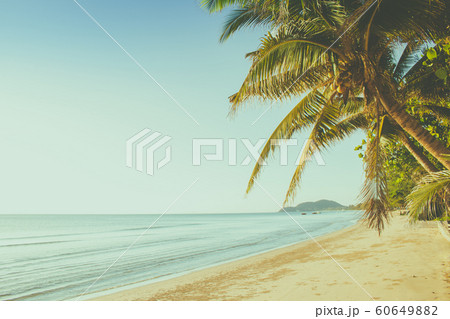 Beautiful seascape view of sand beach and sea wave in twilight time. 60649882