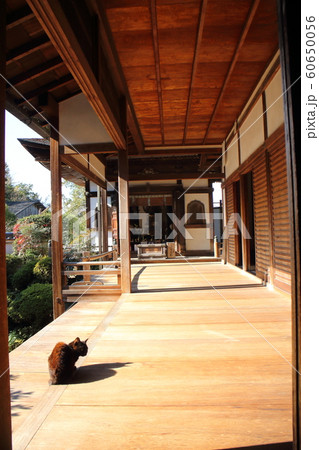 長岳寺(山辺の道) 長岳寺(山辺の道) 60650056