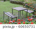 Table and chairs in the garden 60650731