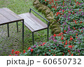 Table and chairs in the garden,Thailand(selective focus) 60650732