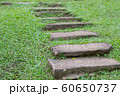 Stone stairs and grass at garden in Thailand (Selective focus) with copy space 60650737