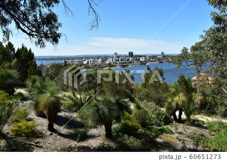 西オーストラリア パースの街 西オーストラリア パースの街 60651273