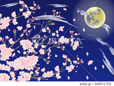月 桜 夜桜のイラスト素材