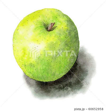 水彩で描いた青りんごのイラスト素材