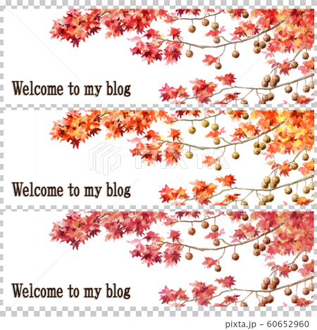 ブログ用ヘッダ画像モミジバフウ紅葉セット 60652960