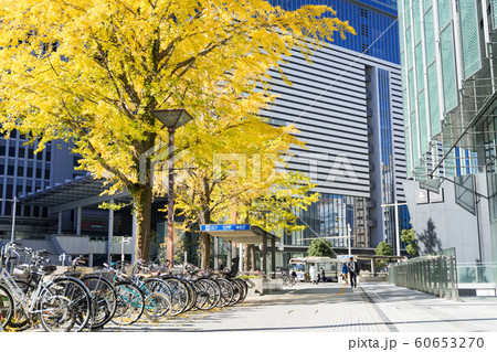 名古屋駅前　都市風景 大名古屋ビルヂング前の銀杏並木 60653270