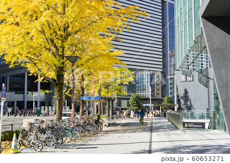 名古屋駅前　都市風景 大名古屋ビルヂング前の銀杏並木 60653271